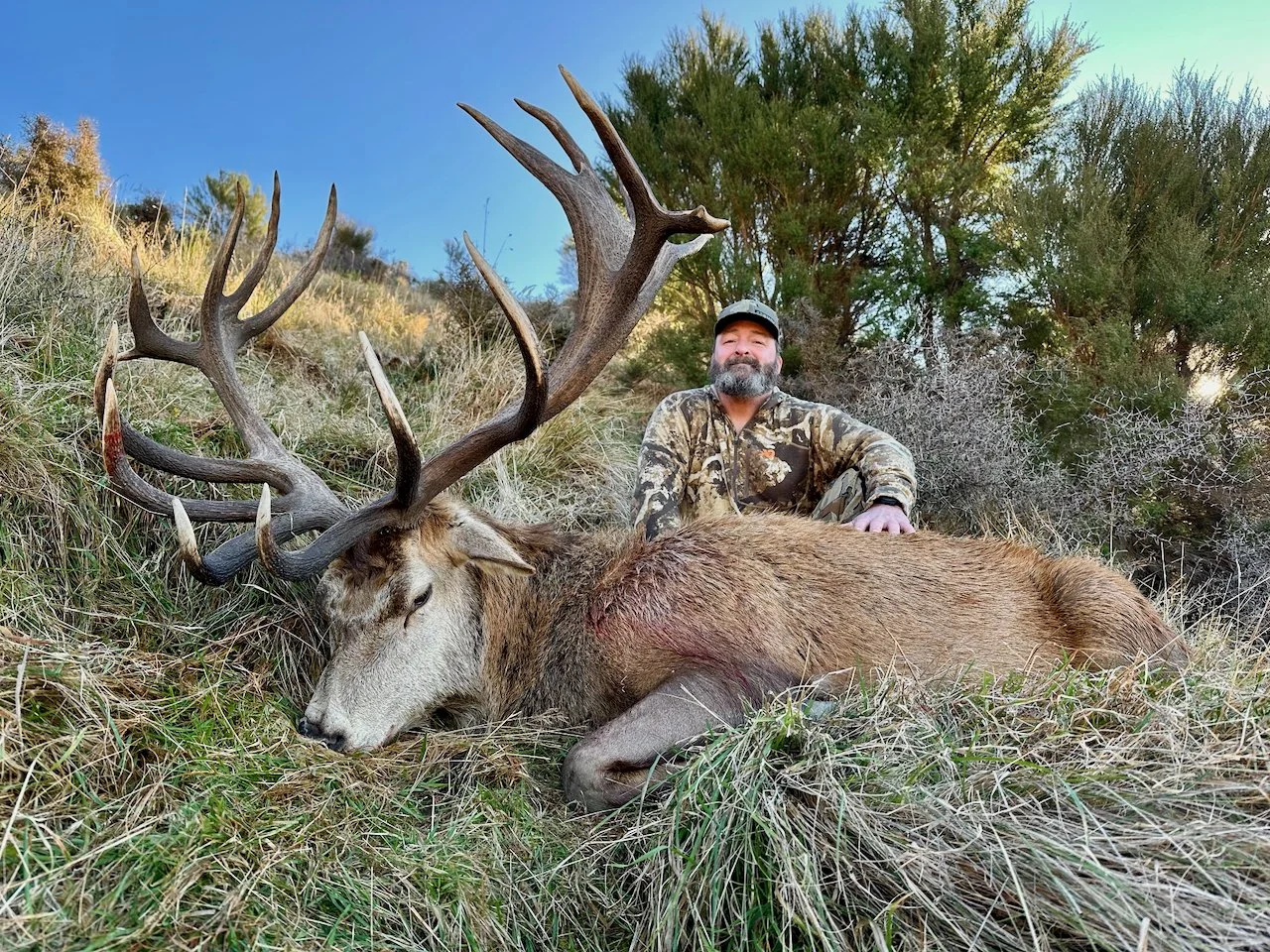 A man in camouflage clothing sitting next to a large dead deer with prominent antlers in a grassy outdoor area with bushes and trees.