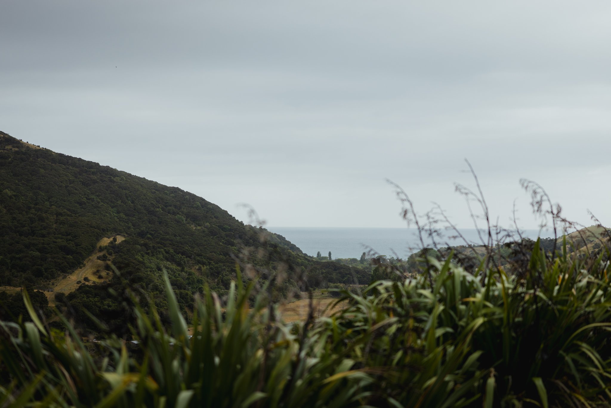Hilly landscape with forested slopes, distant ocean horizon, and cloudy sky