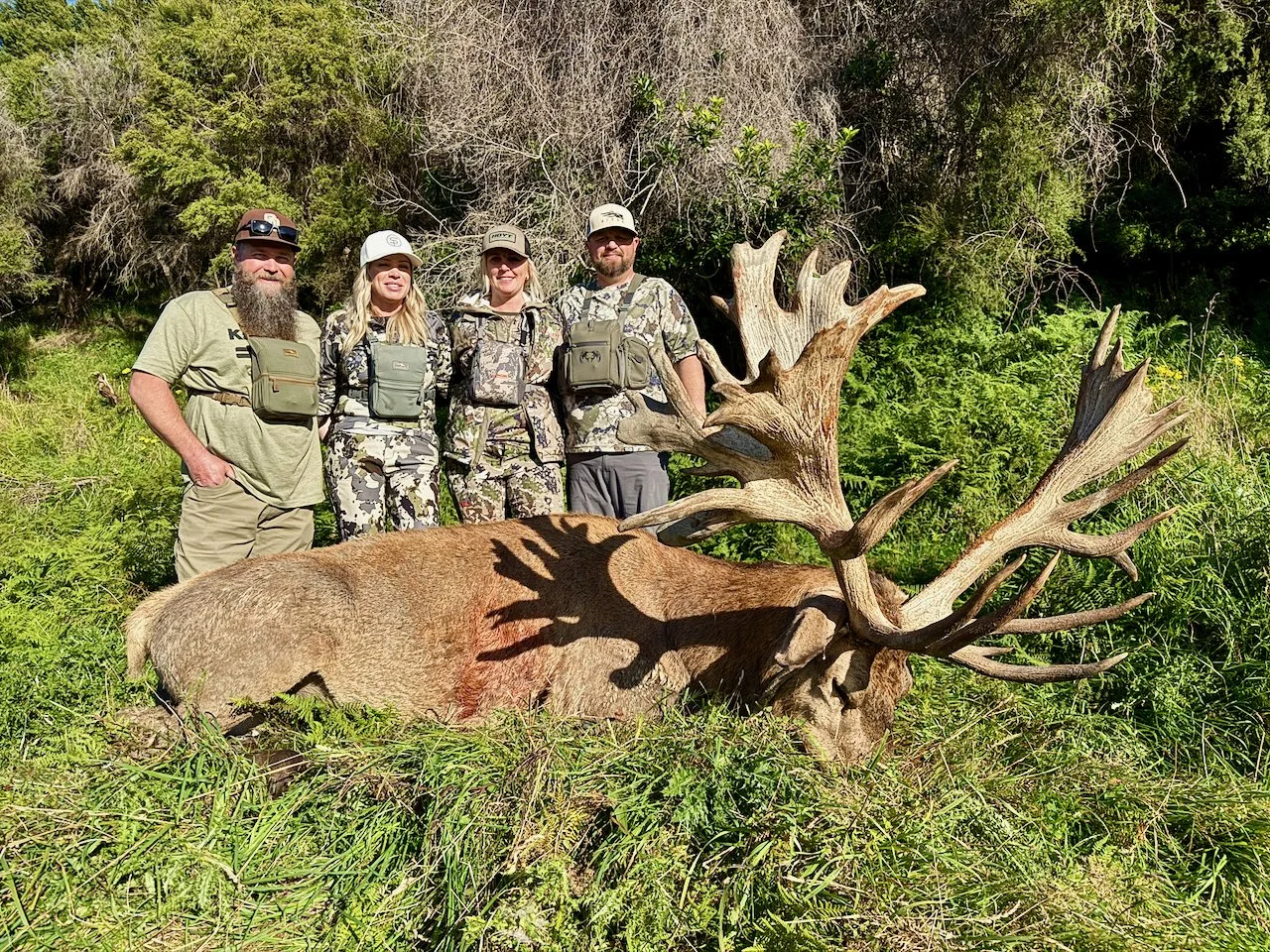 Four people standing behind a large elk with impressive antlers in a green, forested area.