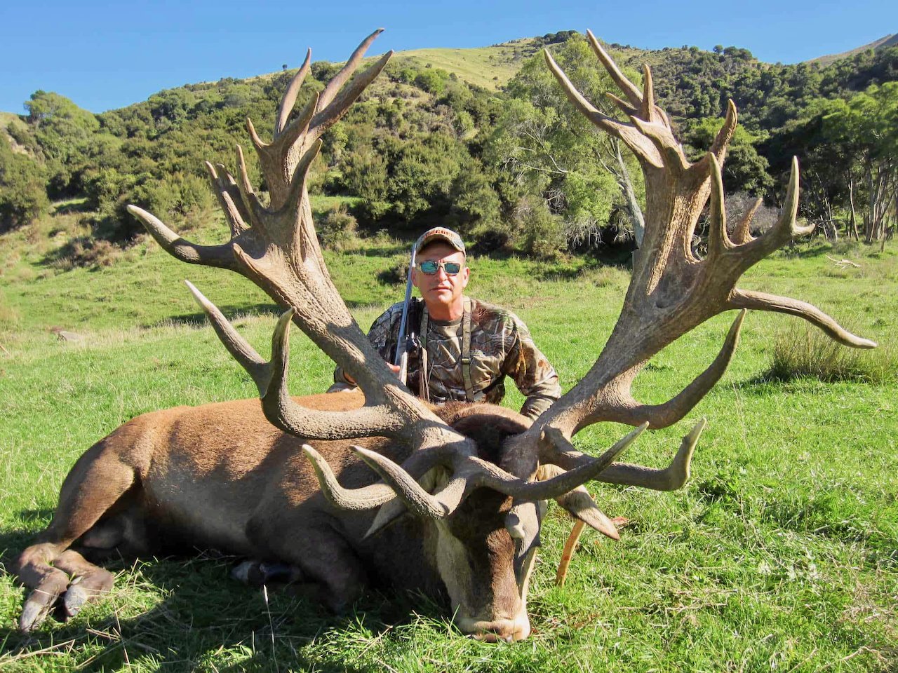 A man in camouflage clothing with sunglasses sitting behind a large dead elk in a grassy field with hills and trees in the background.