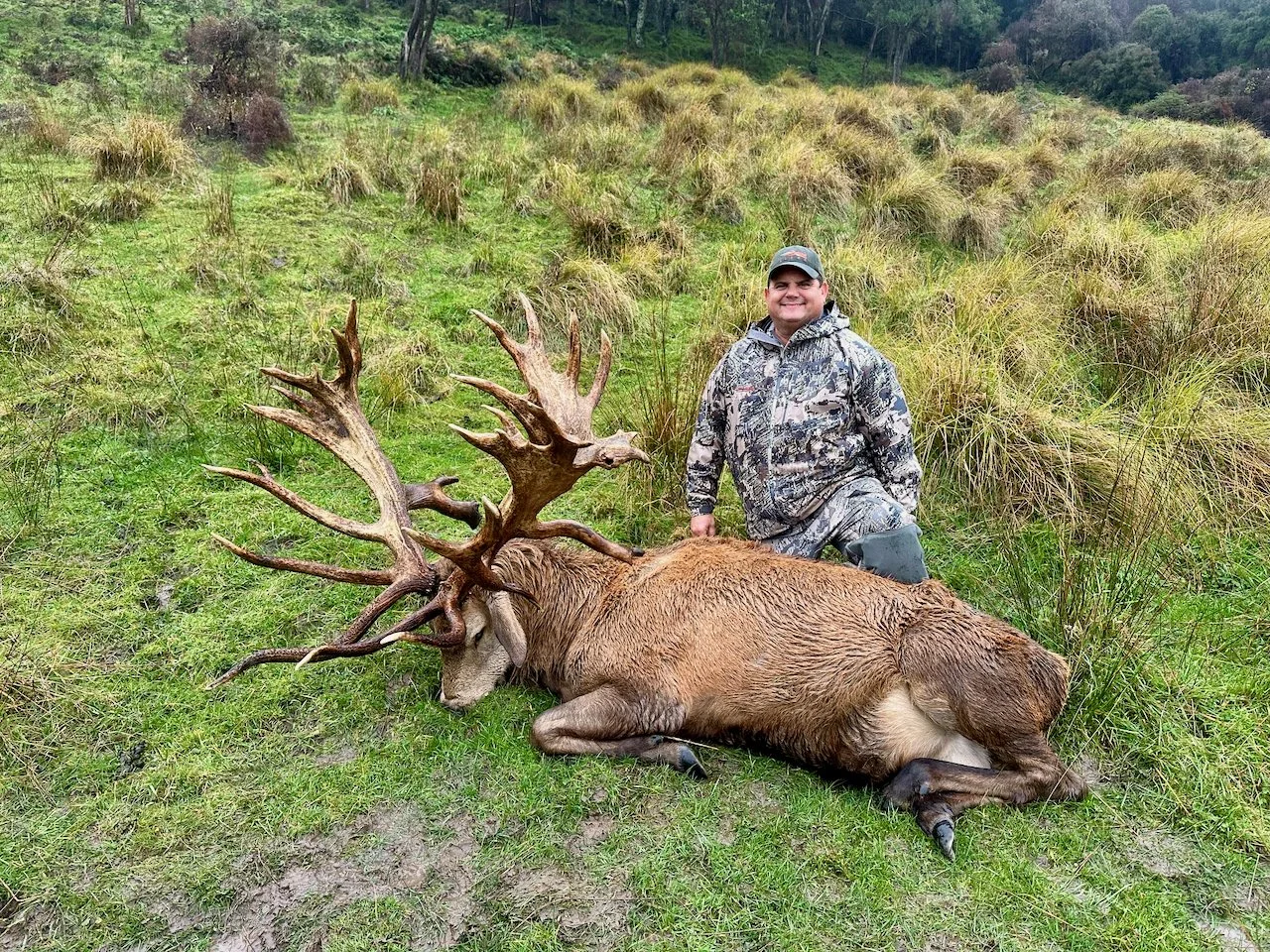 A man in camouflage clothing kneels next to a large elk with prominent antlers lying on the grass in a green, hilly area.