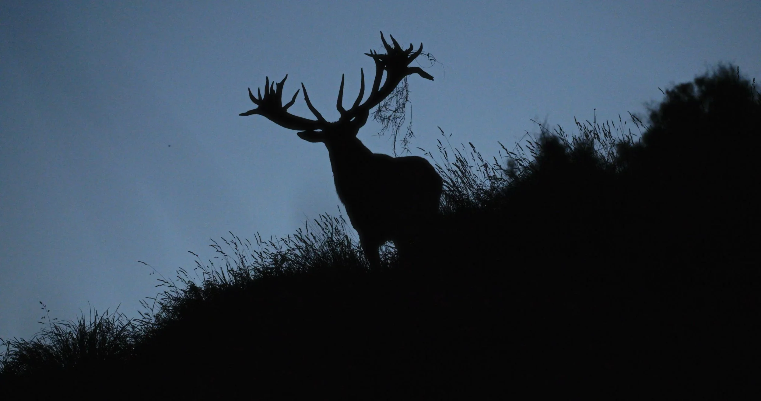 Plan Your Hunt.jpg
