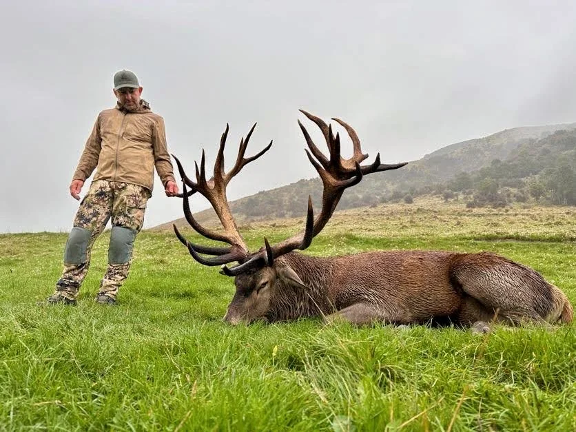 Man in camouflage pants and beige jacket standing next to a large elk lying on green grass with mountainous terrain in the background.
