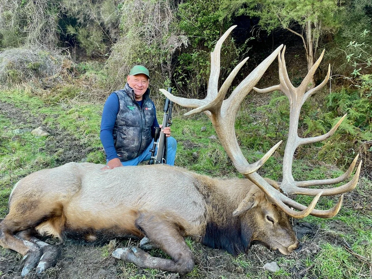 A man holding a rifle kneels next to a large, dead elk with massive antlers lying on the ground in a forested area.