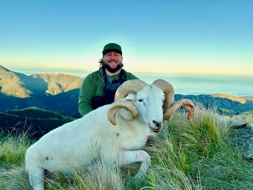 A man with a beard and long hair, wearing a green cap and jacket, smiling behind a large white sheep with curled horns, on a grassy hilltop with mountains and ocean in the background during sunset.