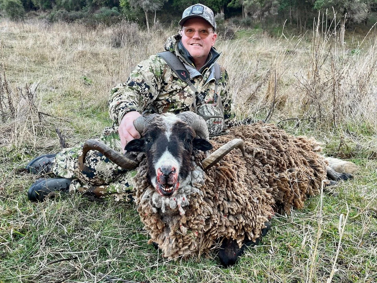 A man in camouflage clothing and a hat kneels on the grass, holding the head of a dead sheep with large, curved horns. The sheep has a black and white face and a thick, woolly body. The scene is set in a grassy field with some trees in the background