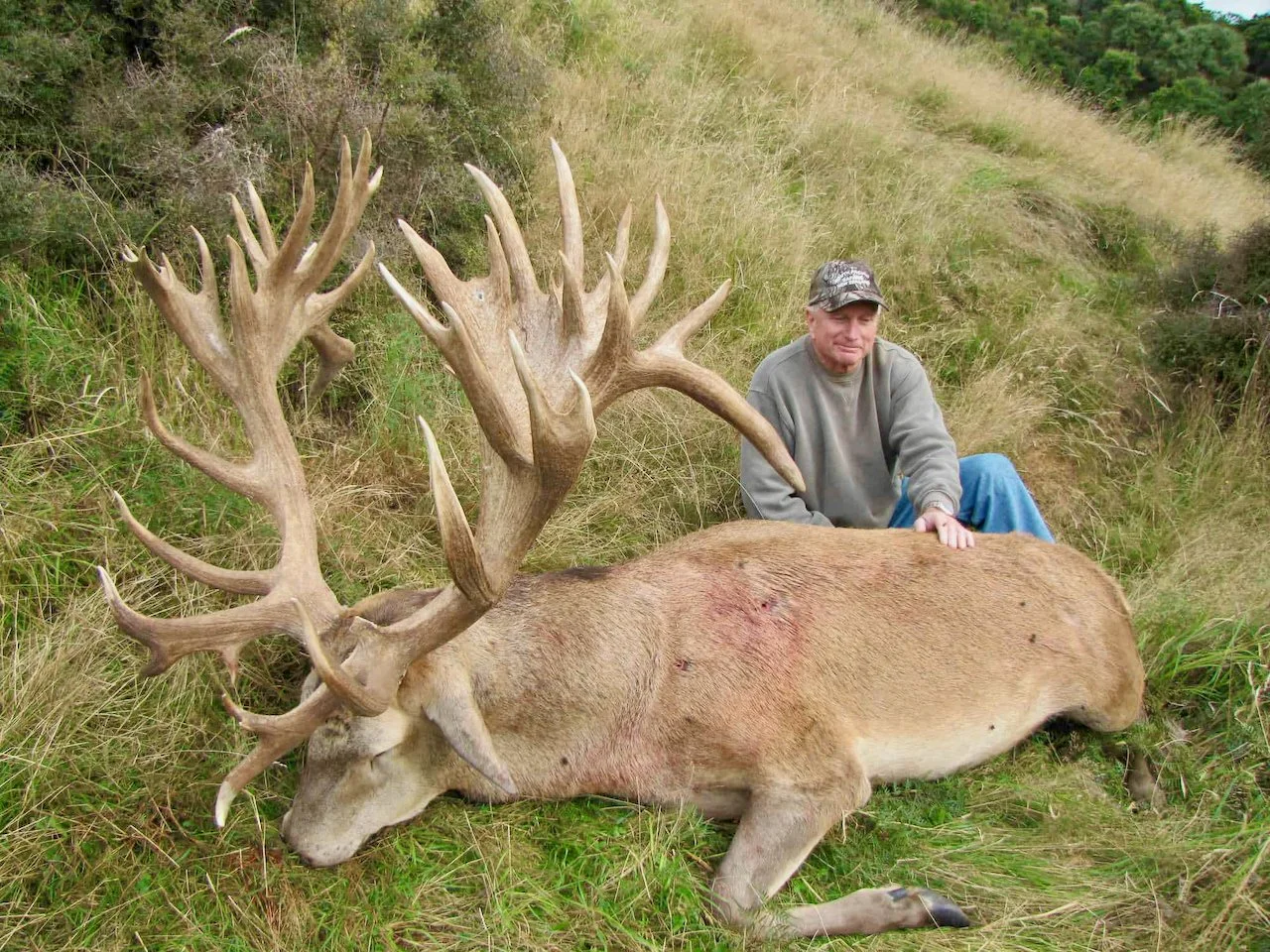 A man sitting next to a large dead elk with impressive antlers in a grassy, hilly area.
