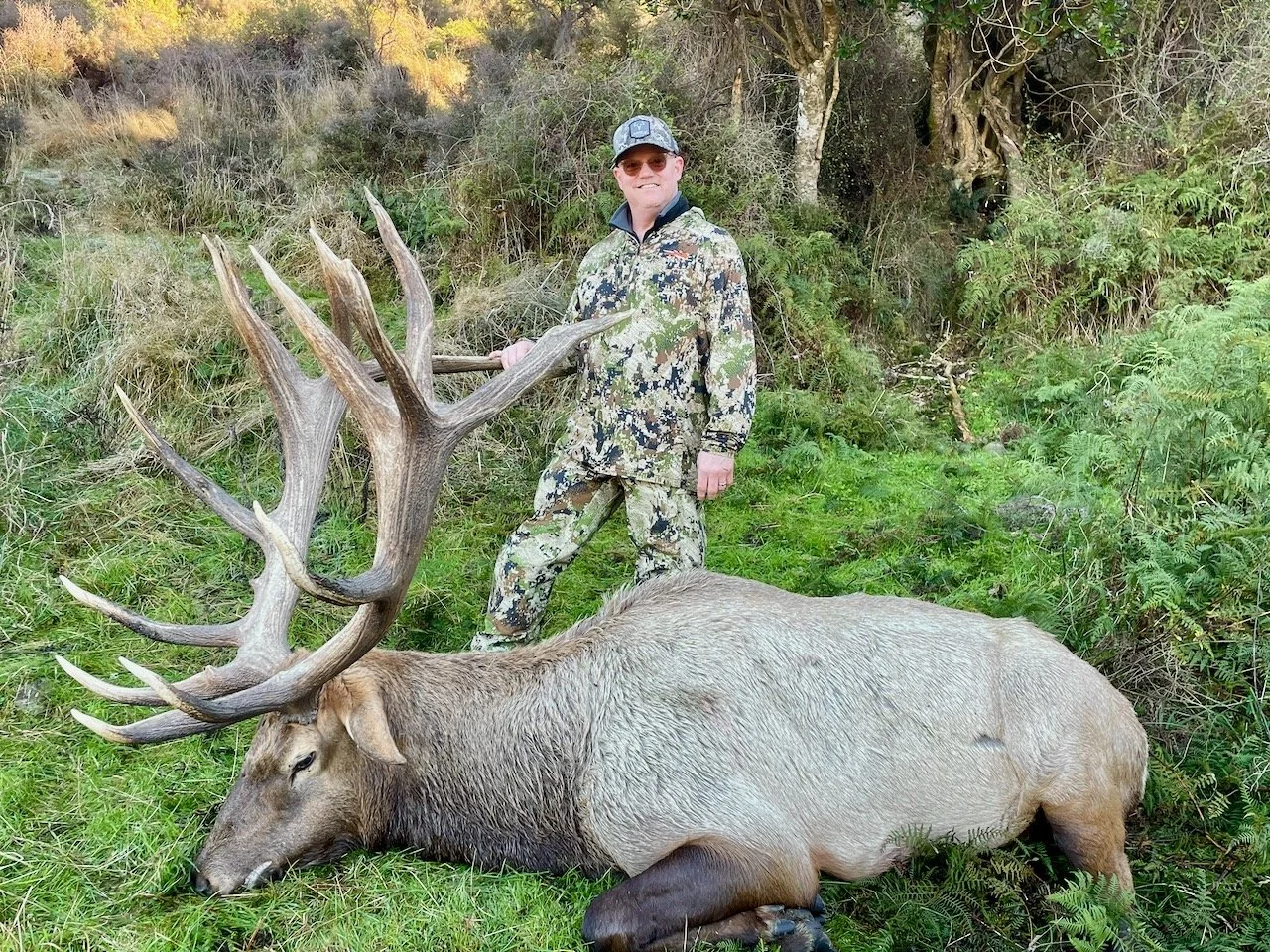 A man dressed in camouflage clothing stands in a forested area, smiling, with a large elk lying on the ground in front of him. The elk has big antlers and is resting on green grass.