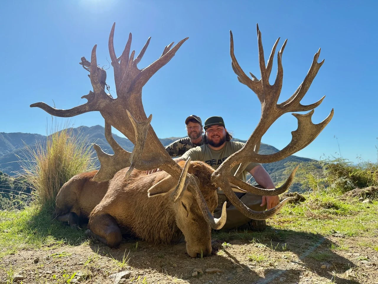 Two men kneeling behind a large moose with massive antlers, lying on the ground in a scenic outdoor landscape with mountains in the background and clear blue sky.