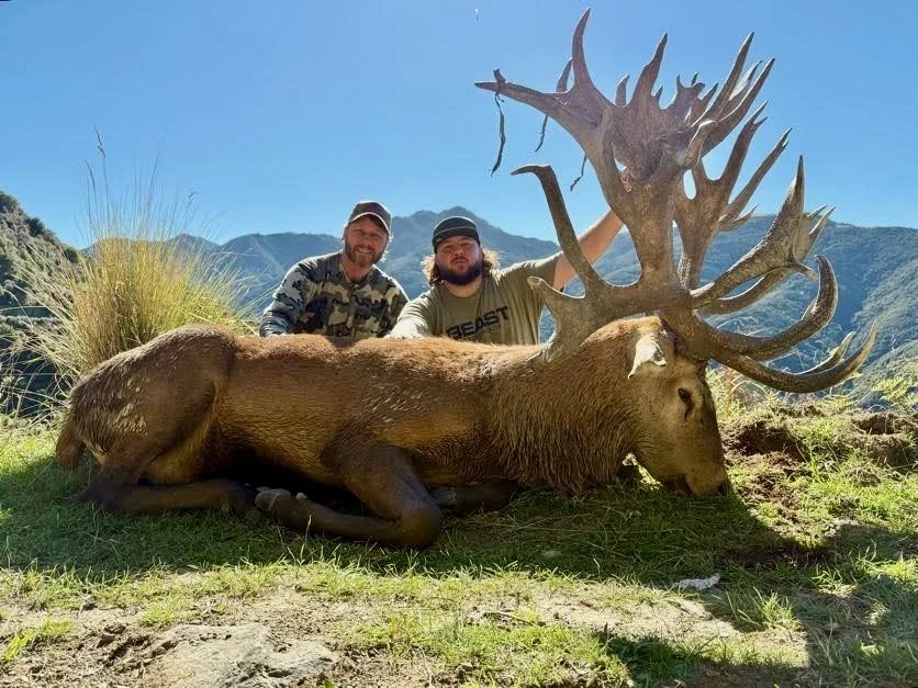 Two men kneel behind a large, fallen elk with impressive antlers, outdoors with mountains in the background and clear blue sky.