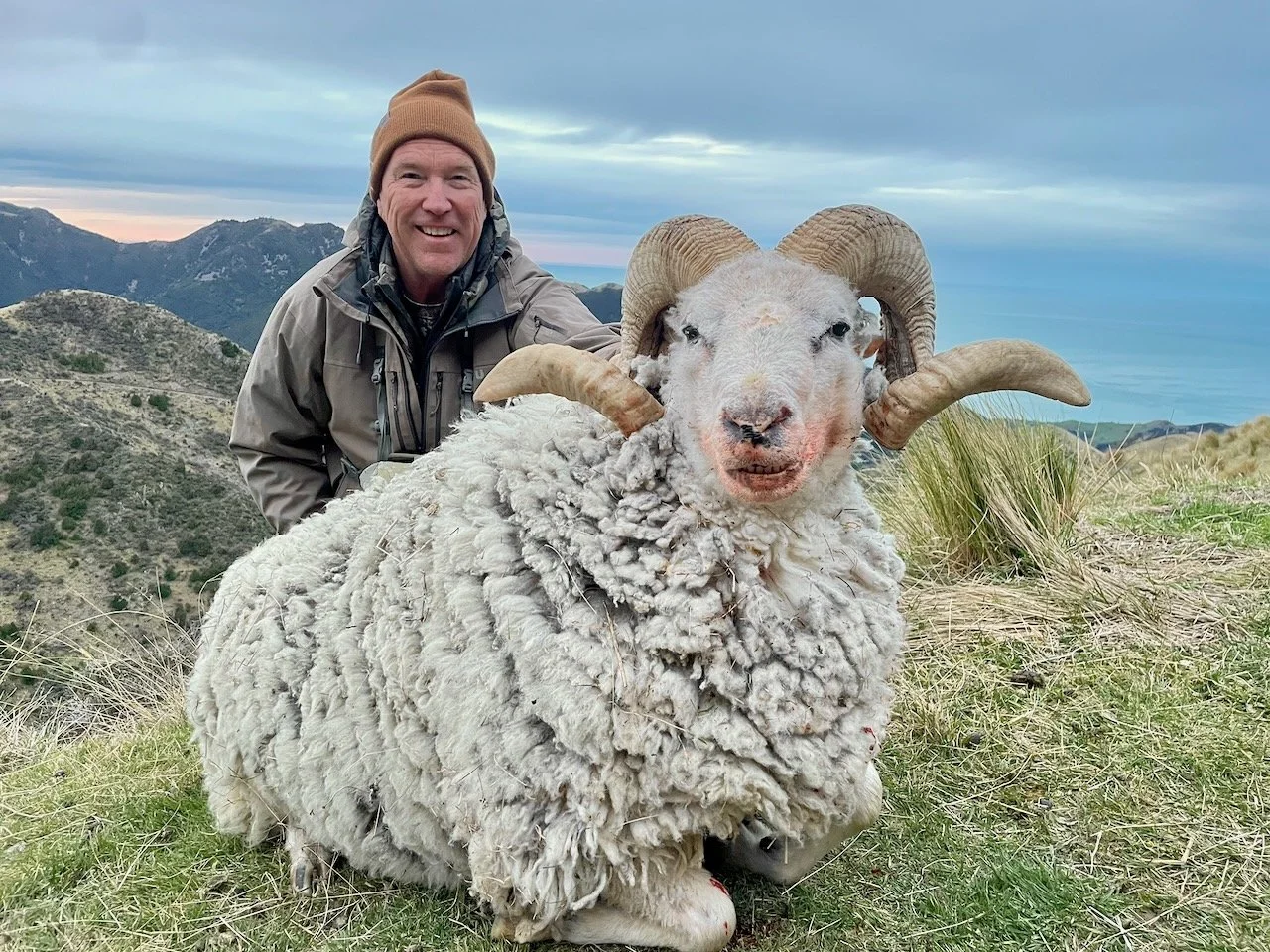 A man in outdoor clothing and a beanie kneeling next to a sheep with large curled horns, standing on a grassy hillside with mountains in the background.