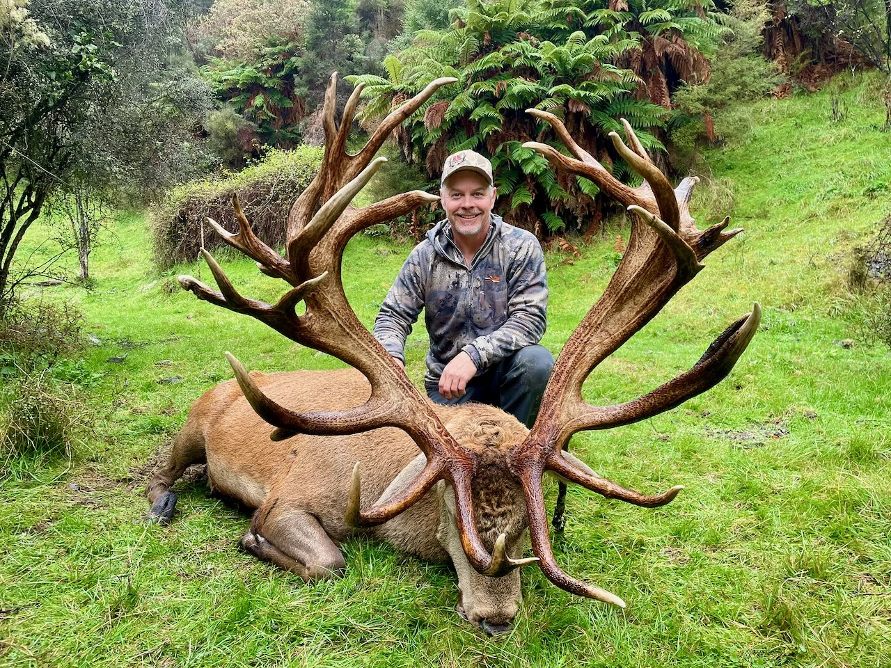 A man kneeling beside a large elk with impressive antlers on a grassy field surrounded by green trees and bushes.