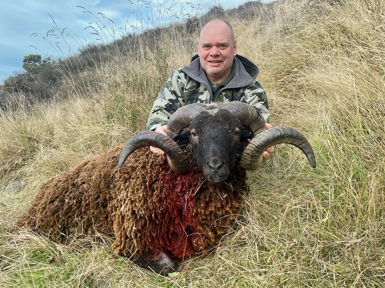 A man holding a dead ram with large curved horns, lying in tall grass on a hillside.