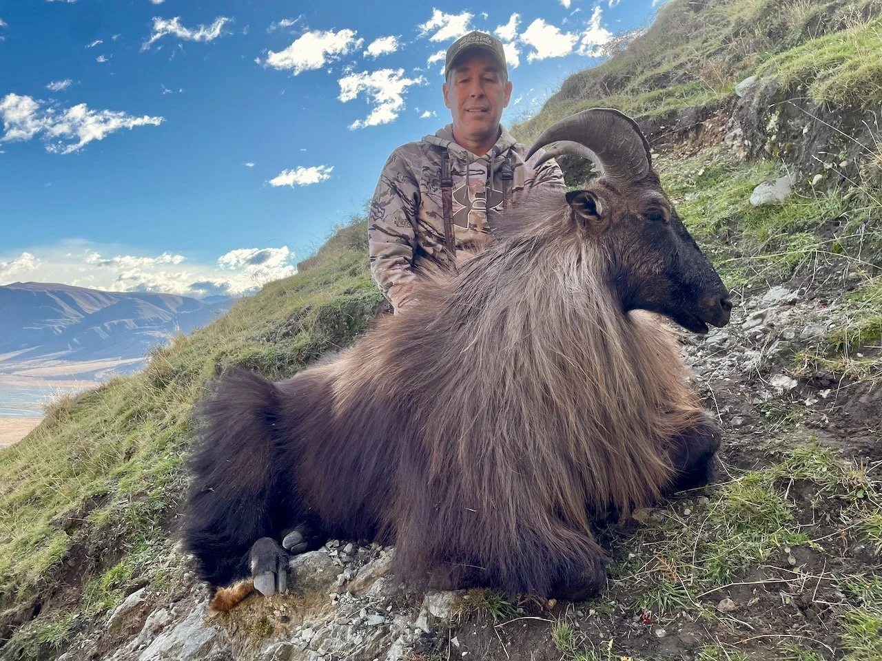 A man in camouflage clothing sitting behind a large bighorn sheep with twisted horns on a grassy hillside with mountains and blue sky in the background.
