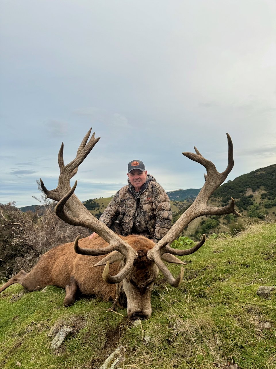 A man in camouflage jacket and cap kneeling behind a large elk with impressive antlers lying on the grass in a hilly outdoor landscape.