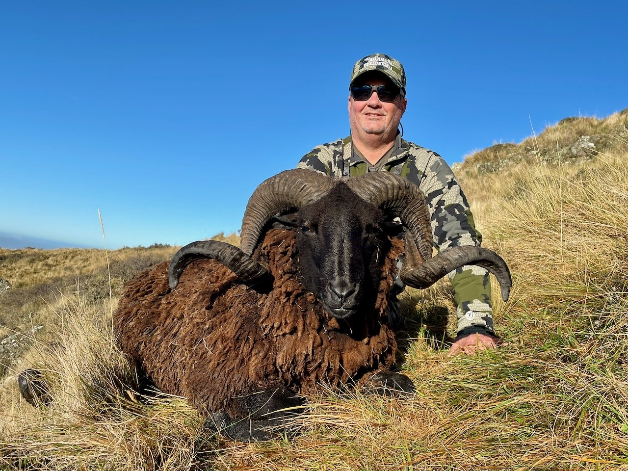 A man dressed in camouflage outdoor clothing, wearing sunglasses and a cap, kneels next to a large rams head with curled horns lying on grassy terrain under a clear blue sky.