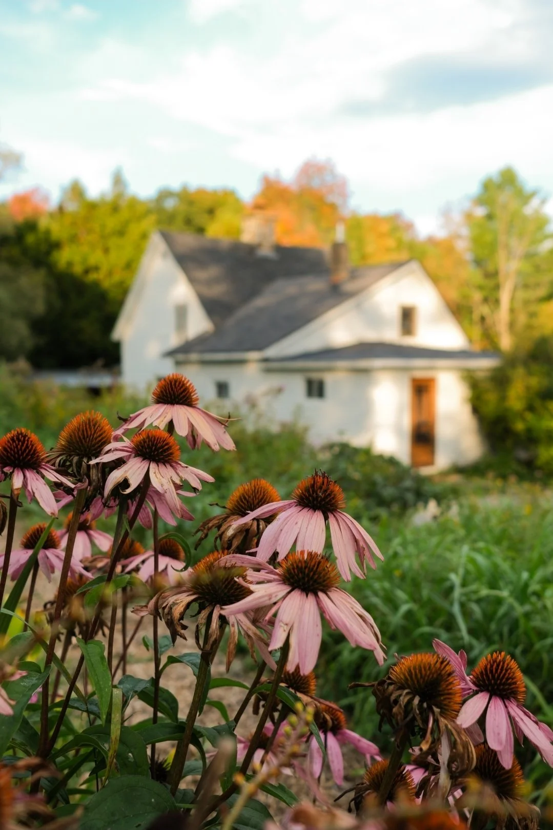 Retraite TERRA ALMA (grand chalet chambre double)