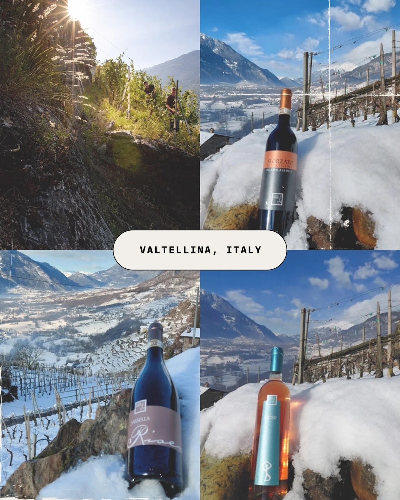 🏔️Wine in Valtellina is grown by hand, on mountains carved into stone.

Soon, we&rsquo;ll meet the family behind it.

Link in bio for more information on our Northern Italy experience!