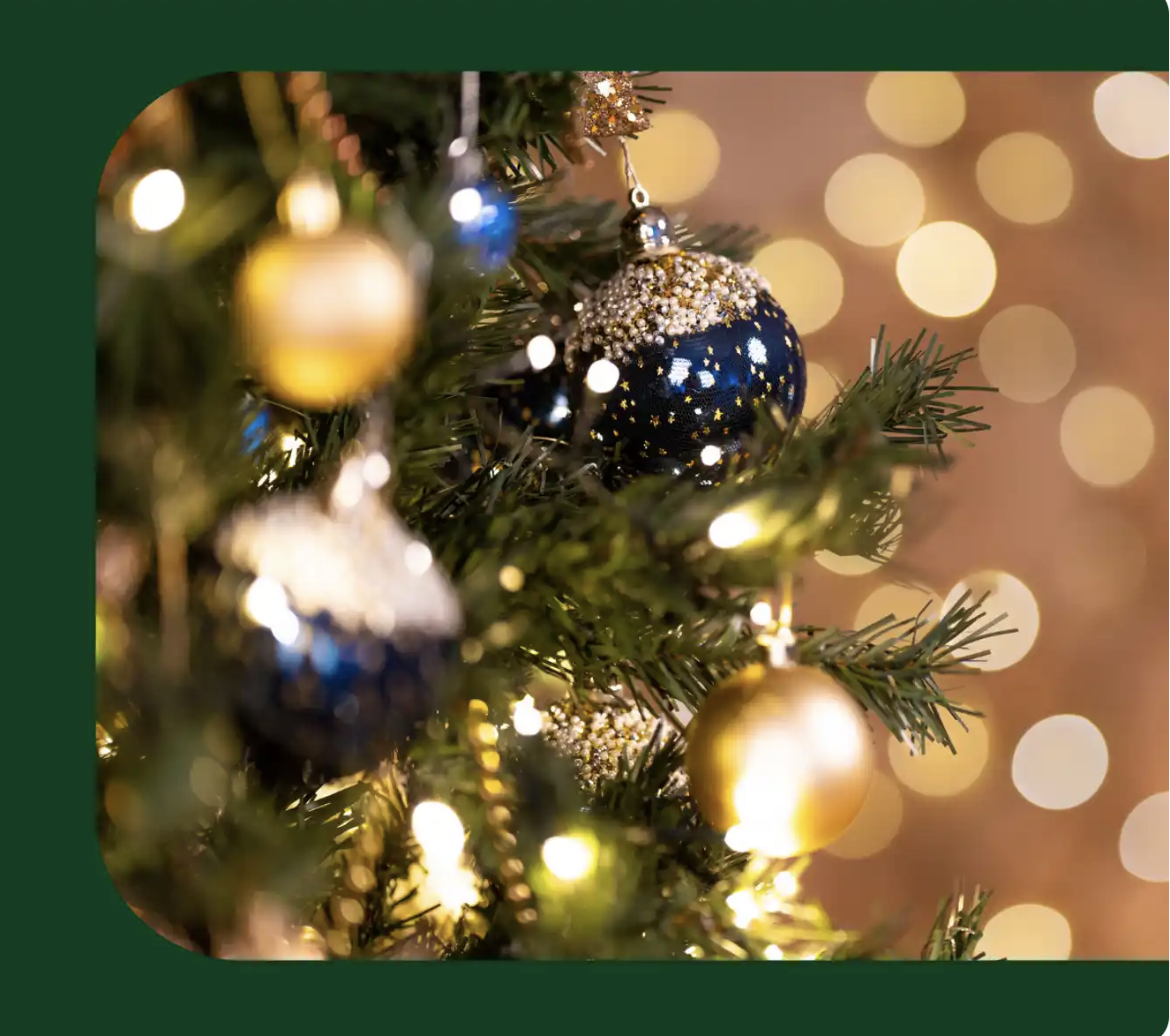 Screenshot 2026-01-29 at 10.08.00 AM.png