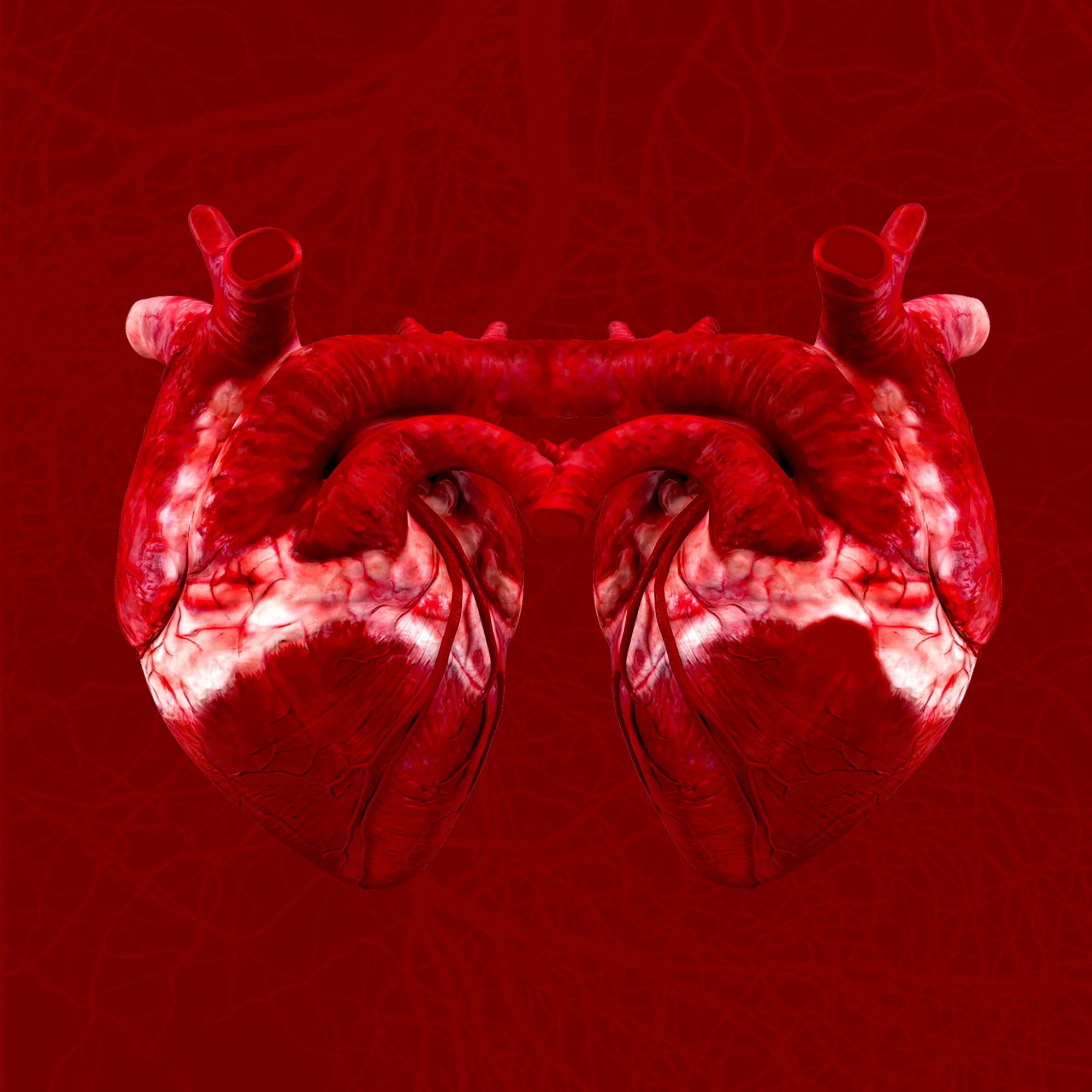 placebo hearts1 .jpg
