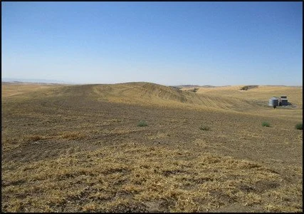 SOLD 891.84 Tillable Acres Dryland Wheat Farm