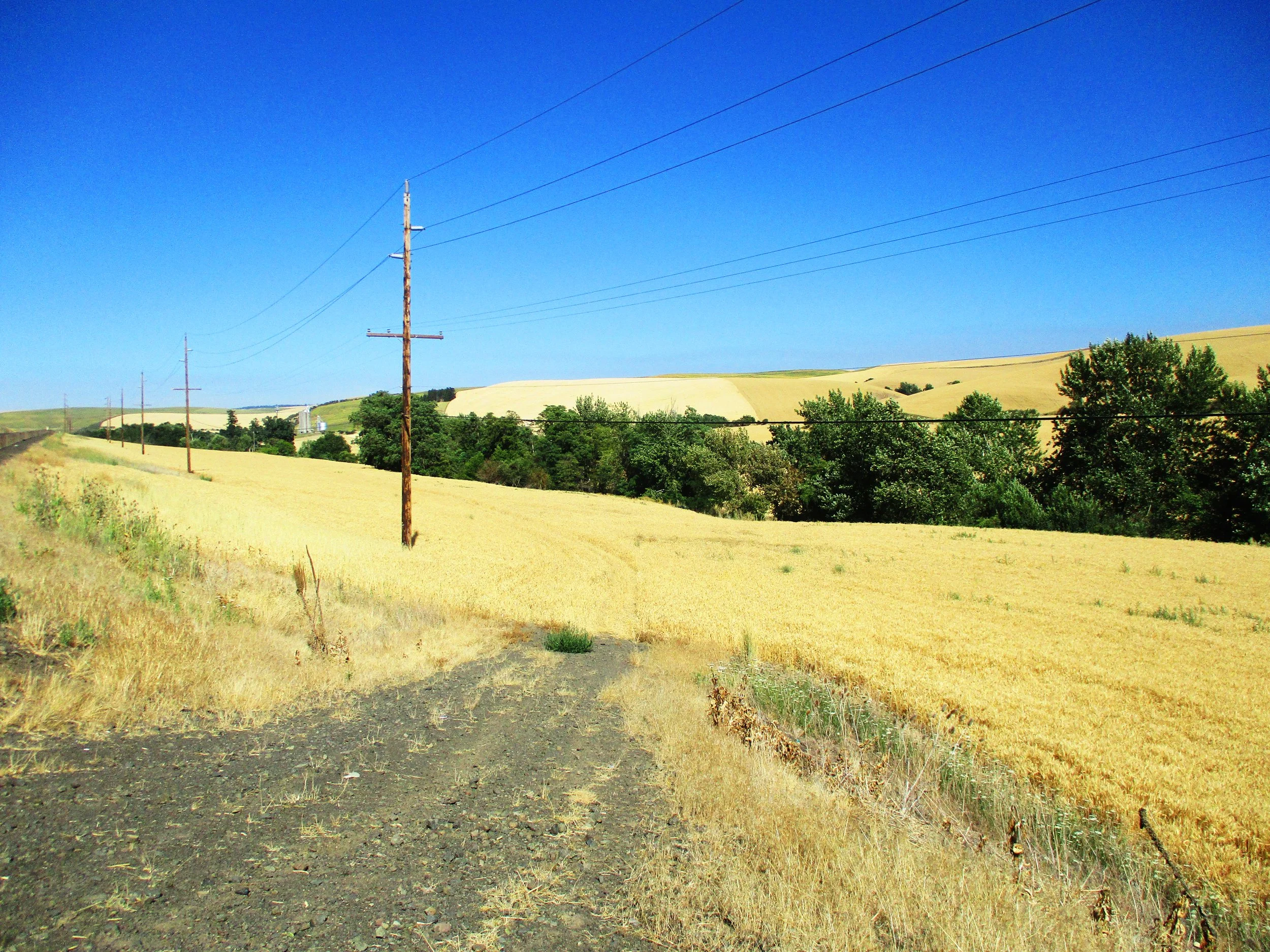 SOLD - Dixie Farm Property