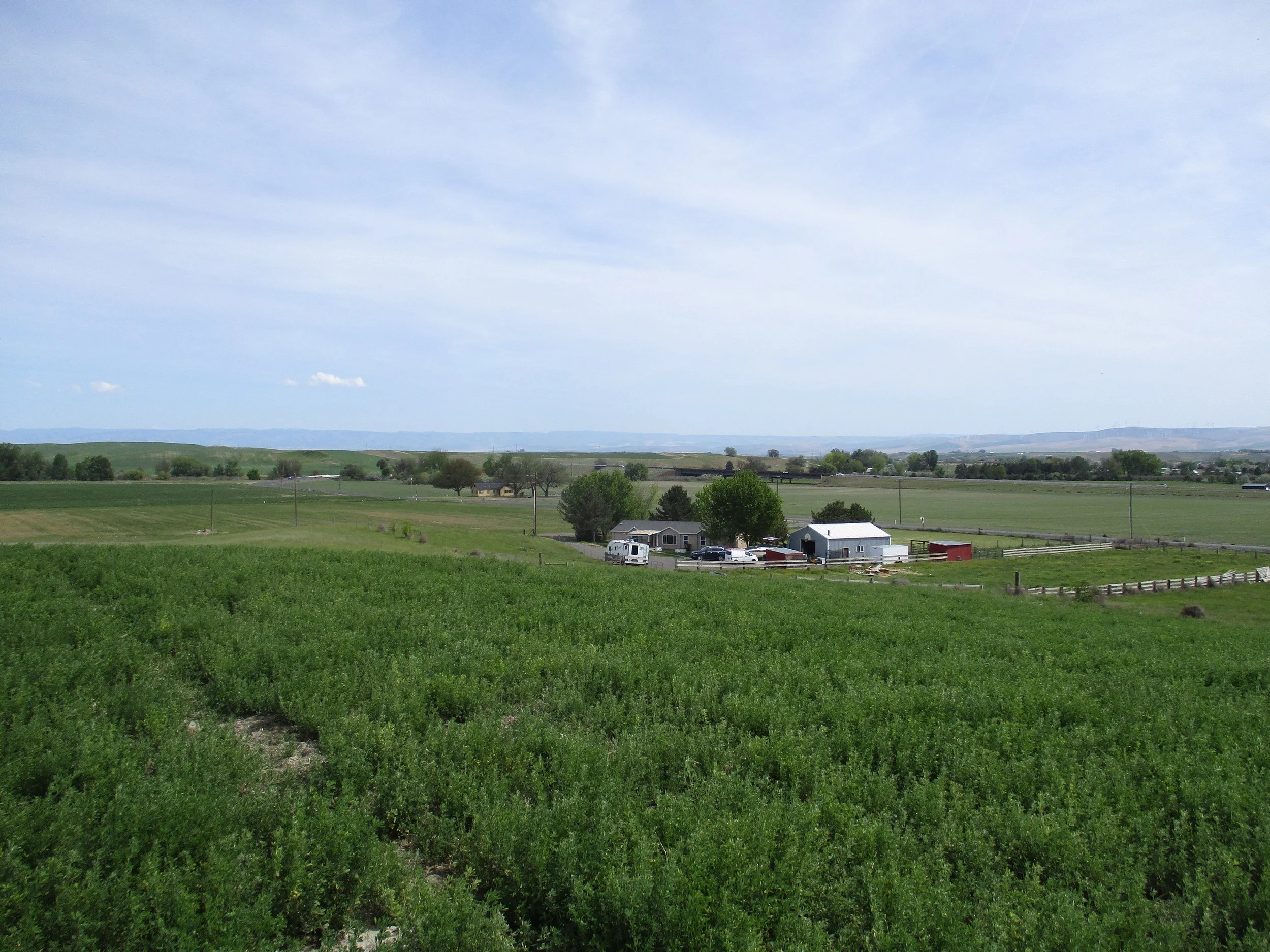 Ash Hollow Road - 10.42 Acres