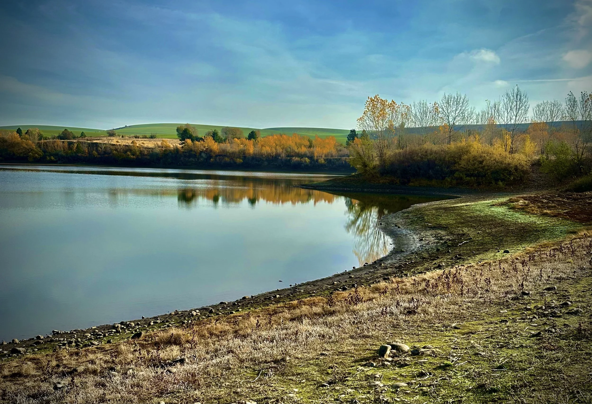 A serene lake surrounded by trees with colorful autumn foliage, reflecting the sky and trees in the calm water, with a slightly sloped shore in the foreground.