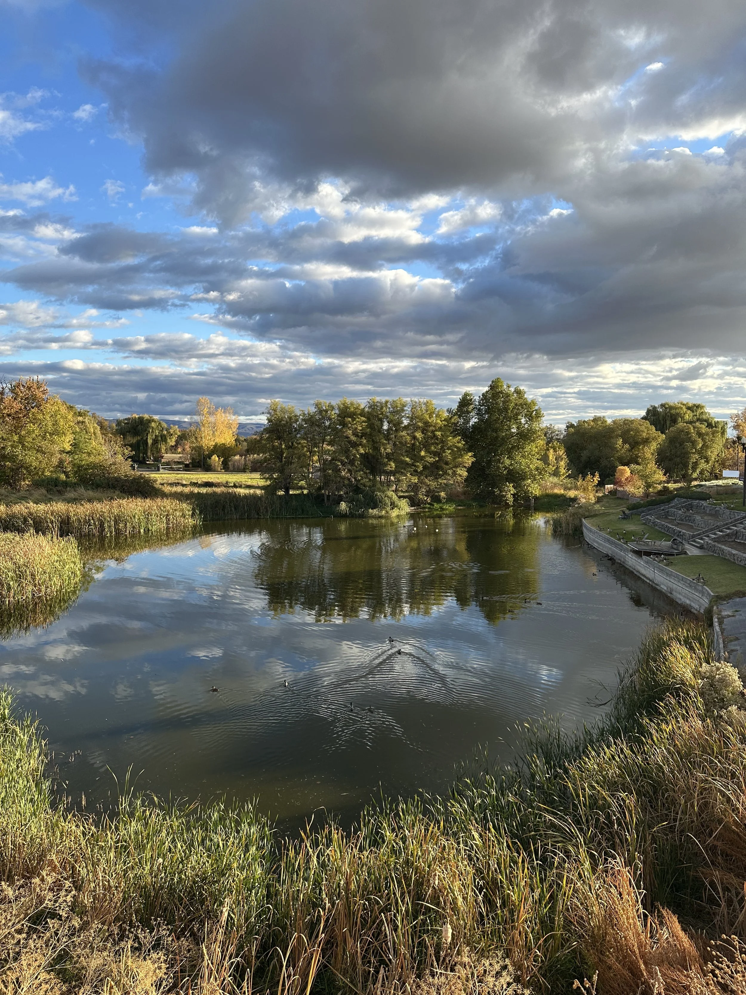 A peaceful park scene with a calm river reflecting the cloudy sky above, surrounded by lush green trees and grassy banks, with a nearby walking path and steps.