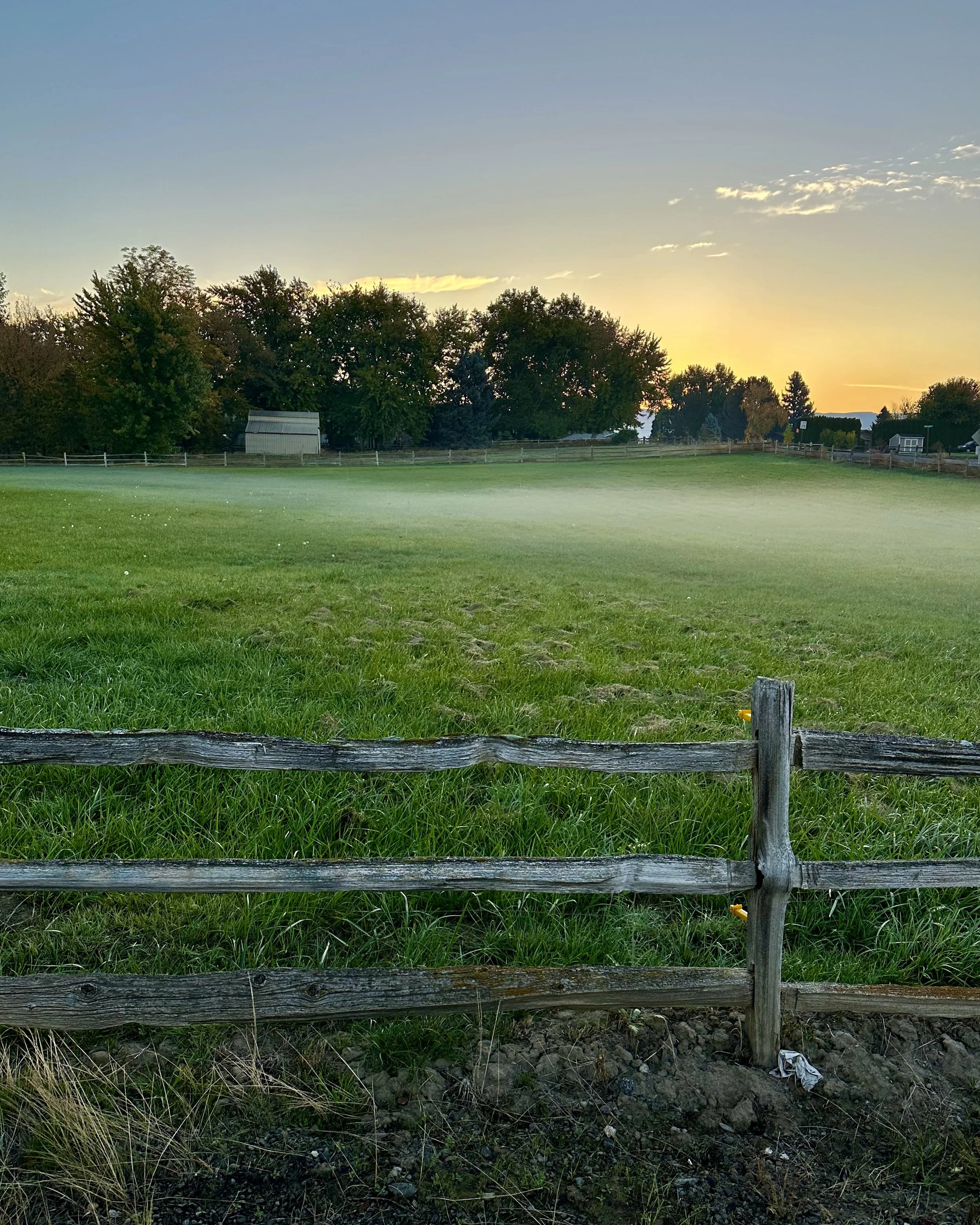 A green grassy field with a wooden fence in the foreground during sunset, with trees and small buildings in the background.