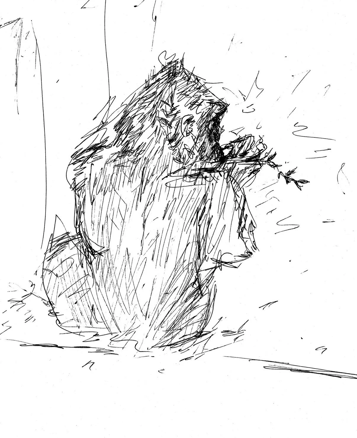 Gorilla