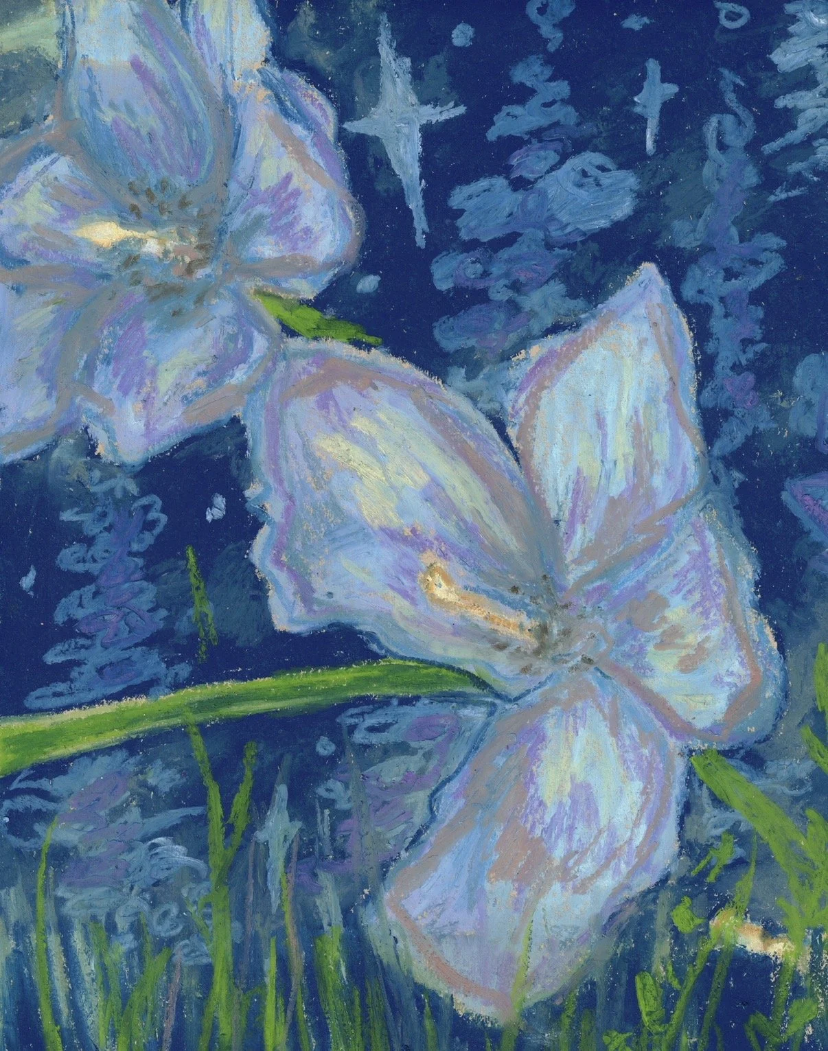 Navy Blue Floral