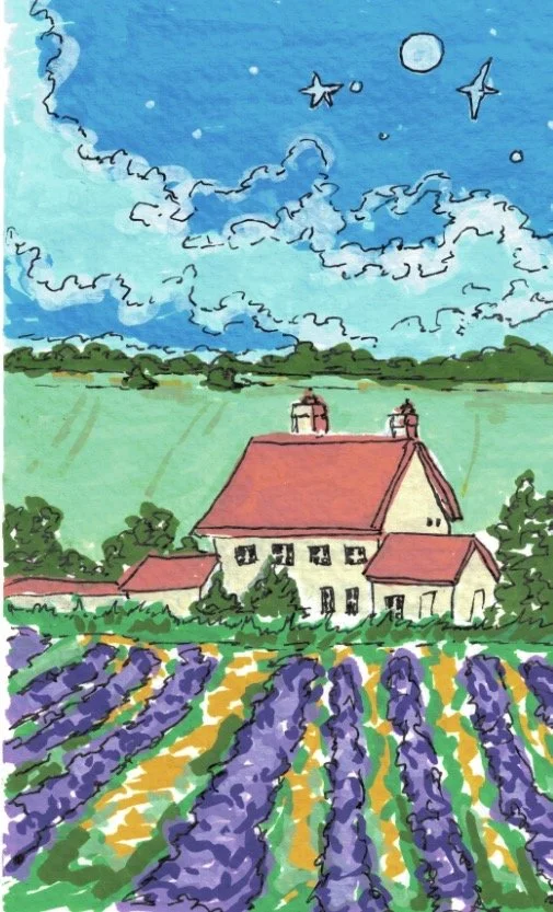 Evening Fields