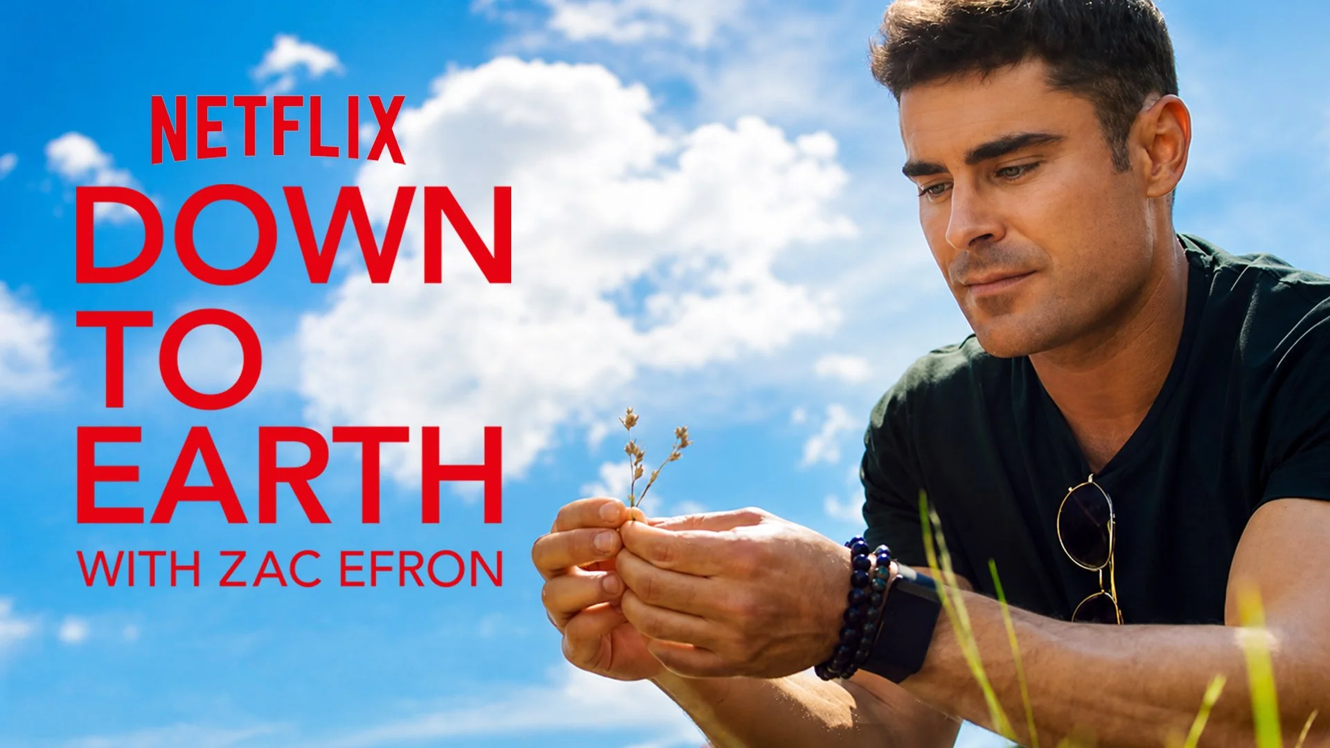 Down-To-Earth-With-Zac-Efron SL logo and cover S2 new 2.jpg