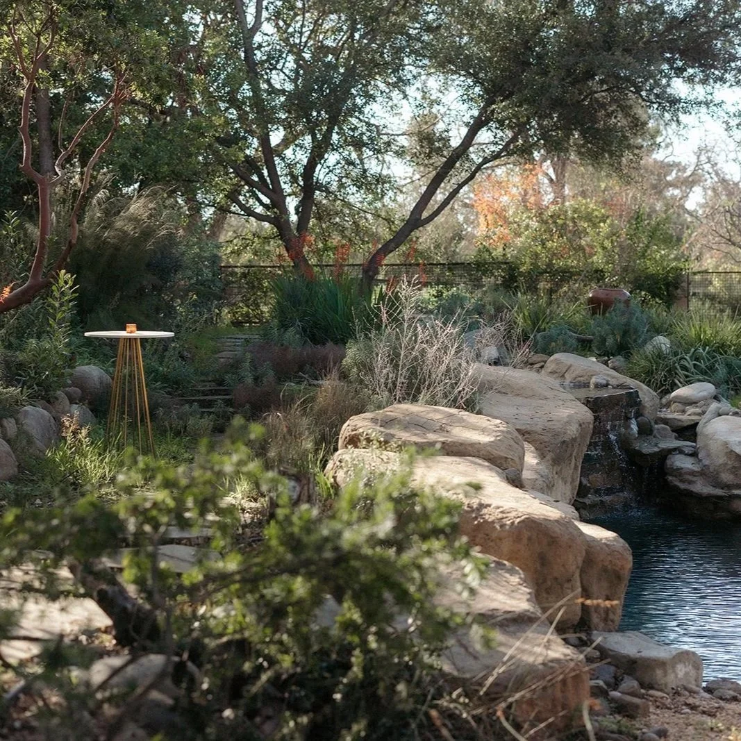 A peaceful backyard garden with large rocks, a small waterfall, lush trees, and desert plants, with sunlight filtering through the leaves.