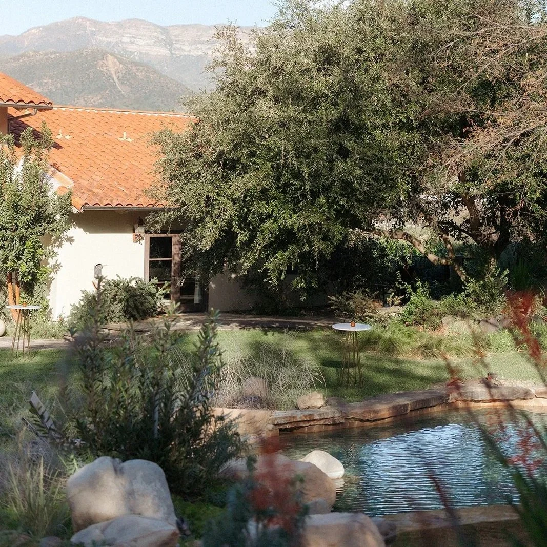 A backyard with a small pond, surrounded by rocks and various green plants. There are two round tables with a small item on one of them, and a large tree casting shade over part of the yard. A house with a red-tiled roof and a door with a small windo