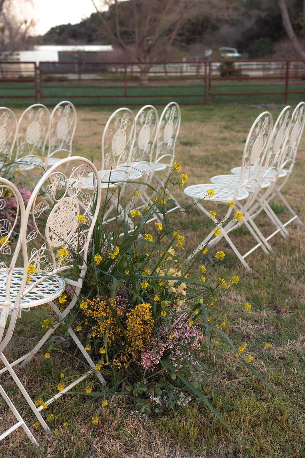 White metal chairs arranged outdoors in a line, decorated with yellow and pink flowers and greenery, on a grassy field with a red fence and hills in the background.
