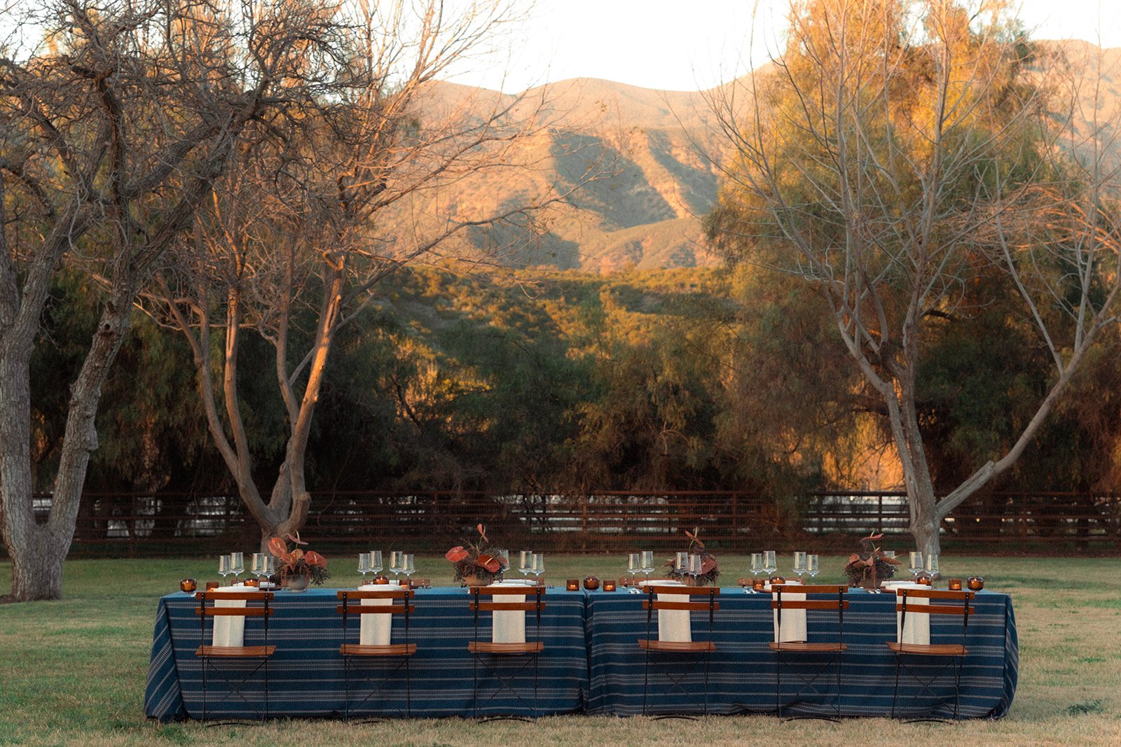 Outdoor dinner table set in a grassy area with trees and mountains in the background, sunset lighting.