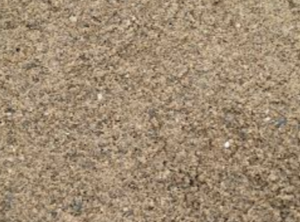 Close-up of a sandy, gravelly surface with small pebbles.