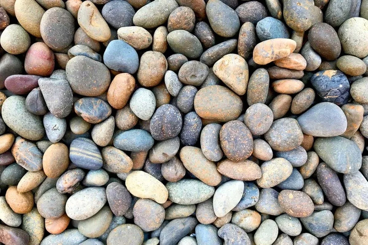 A close-up of various small smooth river rocks in different colors and shapes.
