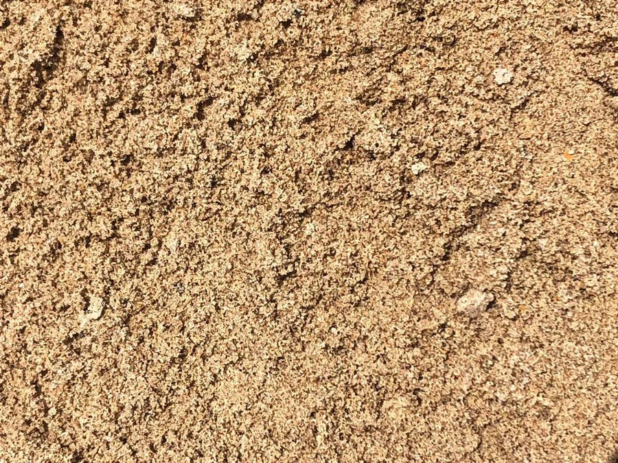 Close-up of sand with some footprints.