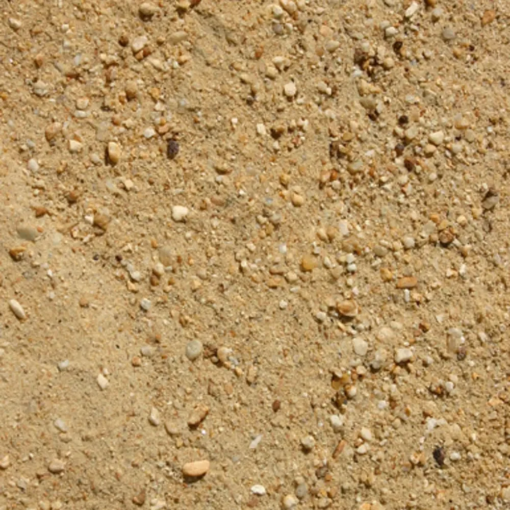 Close-up view of sandy soil with small pebbles and grains.