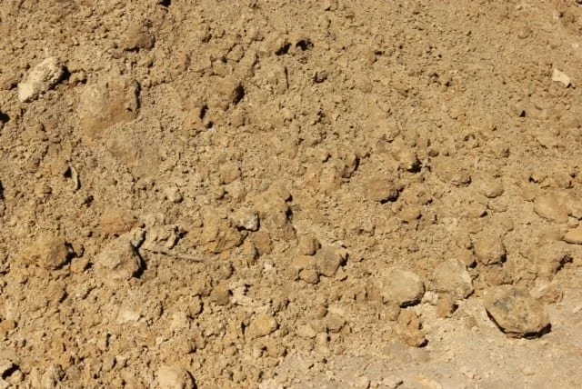 Close-up of dry, loose dirt or soil with small rocks.