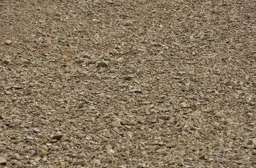 Close-up view of a gravel or dirt surface.