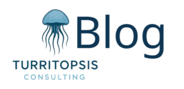 Logo with a blue jellyfish, the word 'Blog', and the words 'Turritopsis Consulting' in blue text.