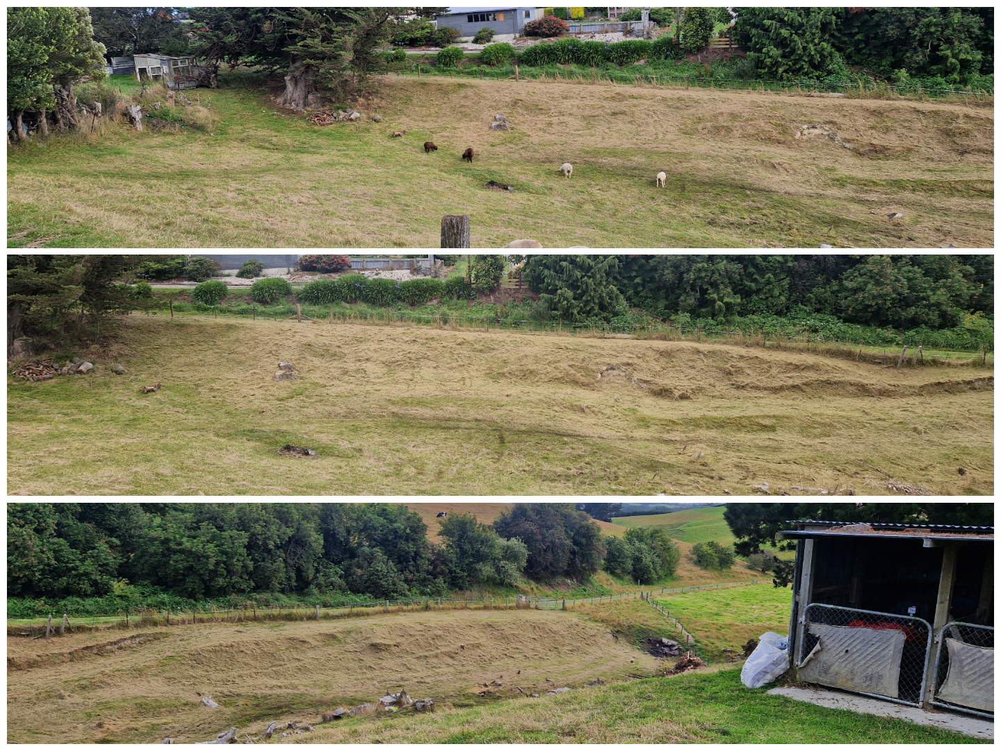 section-clearing-long-grass-mowing-clutha-handyman.jpg.png