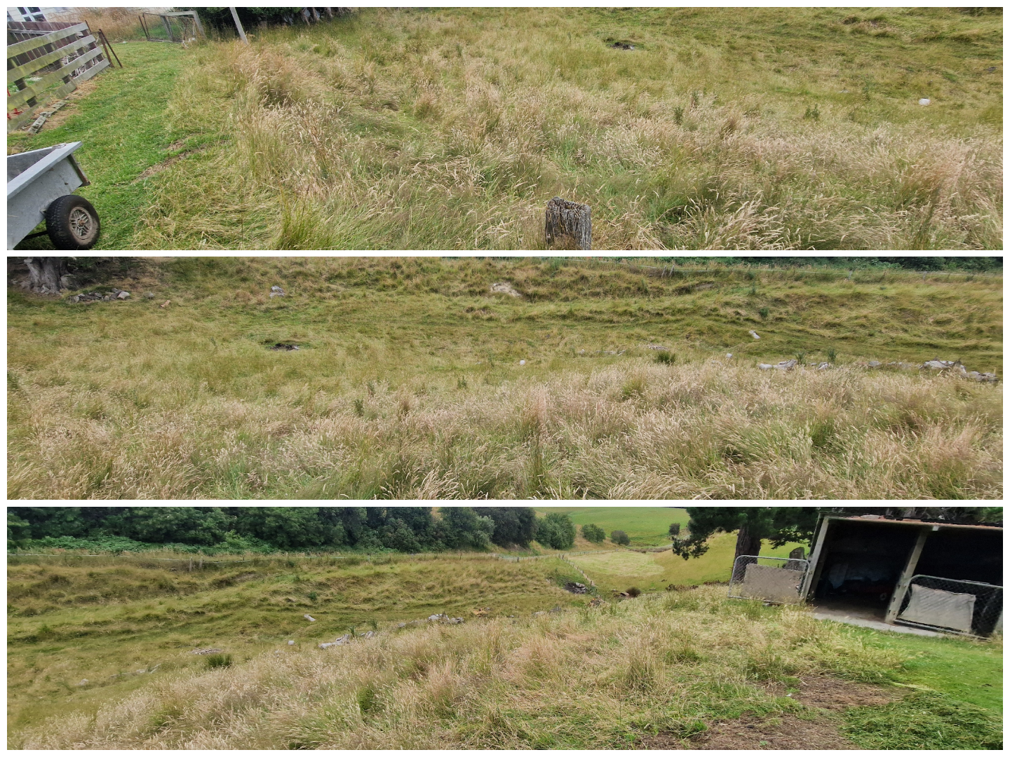 overgrown-section-clearing-property-maintenance-clutha.jpg.png