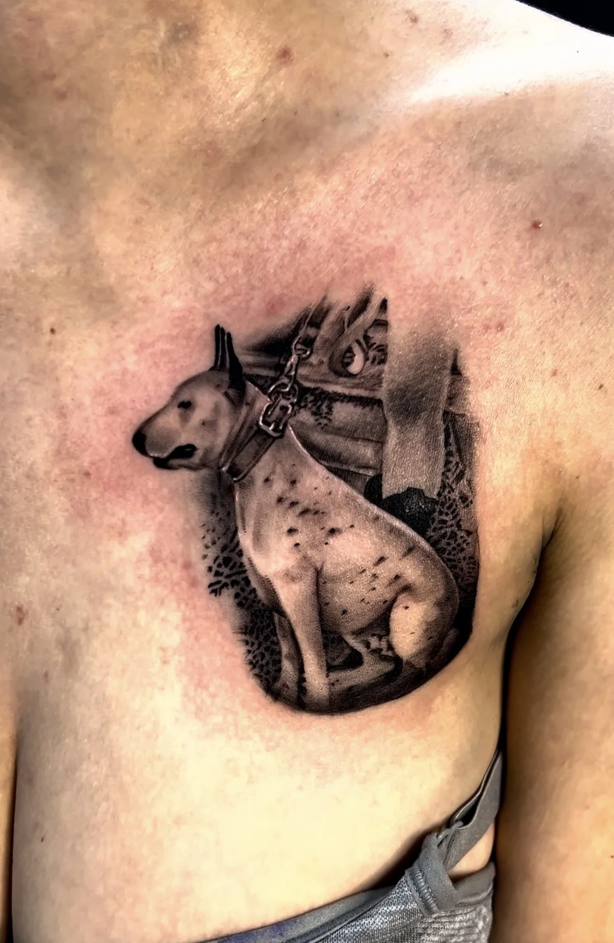 Tattoo of a dog wearing a harness sitting inside a circular frame on a person's upper chest