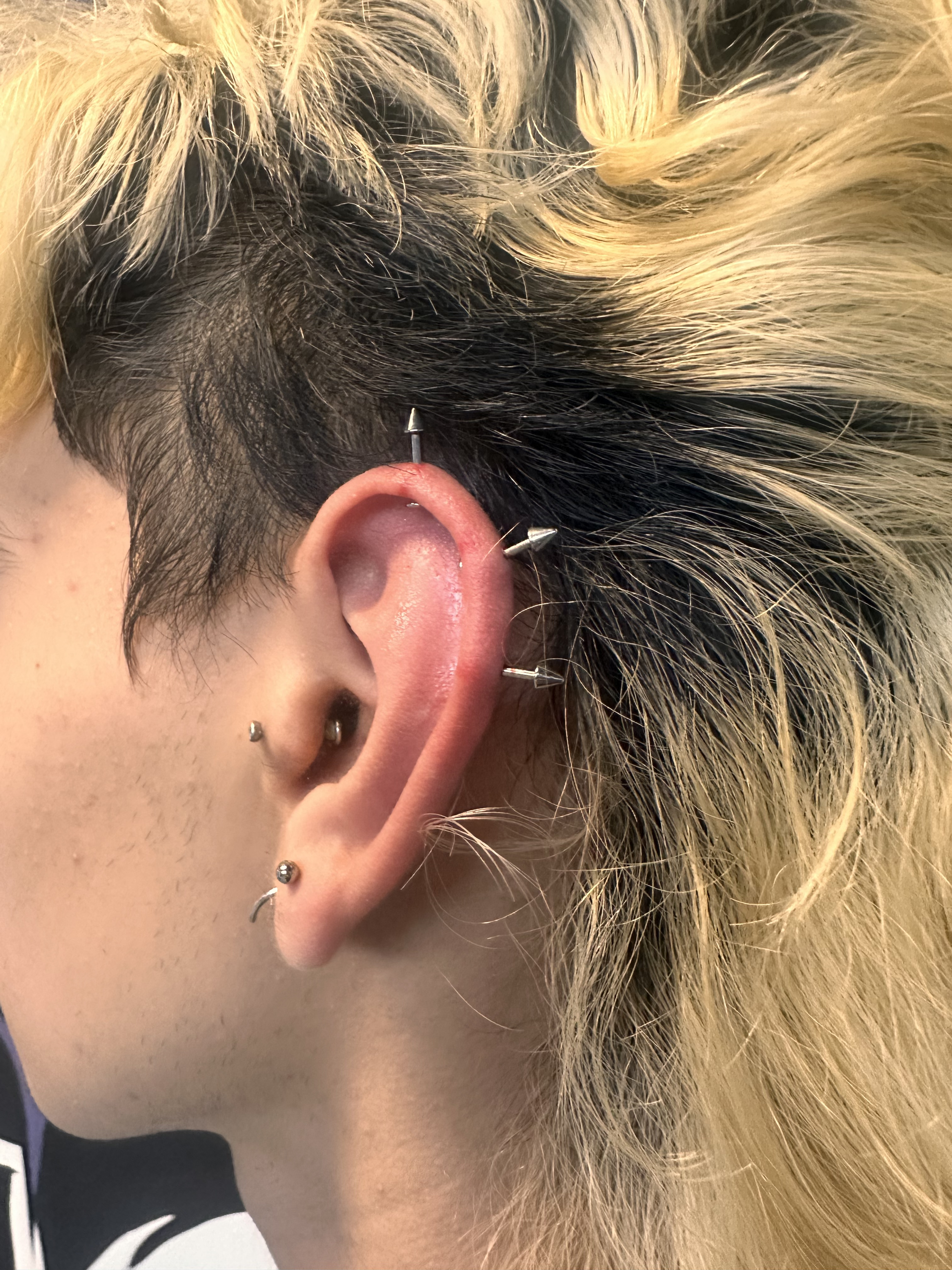 Close-up of a person's ear with multiple piercings, including a helix piercing with a spike-shaped stud, a forward helix piercing with a small hoop, and three lobe piercings with small studs.