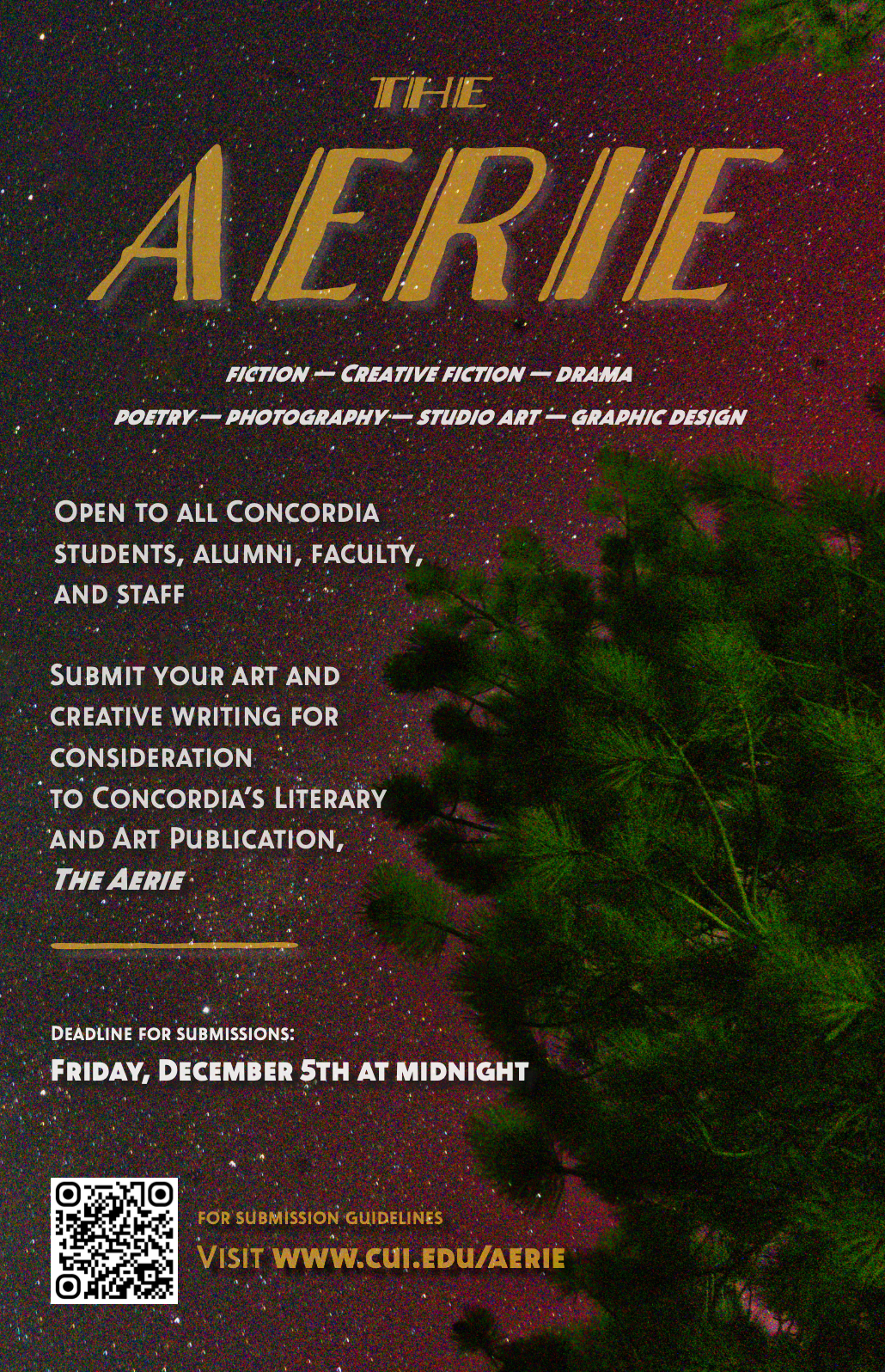 aerie poster | photoshop & illustrator